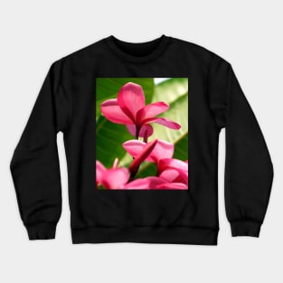 flowers-dress-lei-frangipani-floral-red-petals-shirtyshirto-45 Crewneck Sweatshirt